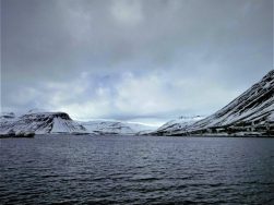 Im Hafen von Ísafjörður / Foto: Roswitha Geisler