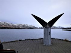 Wunderschöne Kunst im Hafen von Akureyri / Foto: Roswitha Geisler